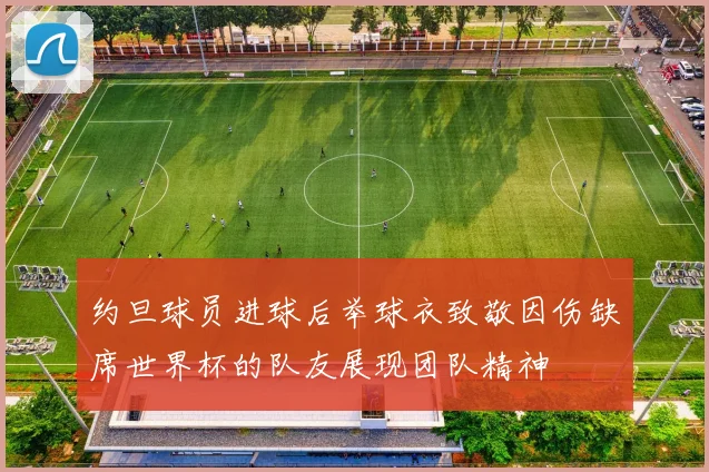 约旦球员进球后举球衣致敬因伤缺席世界杯的队友展现团队精神